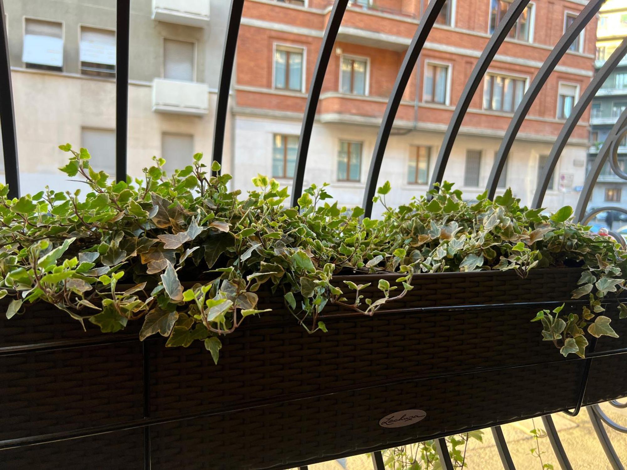 Corso Buenos Aires Suite Central Station Μιλάνο Εξωτερικό φωτογραφία